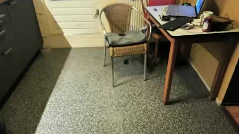 oldersagger online show from October 10, 7:18 pm