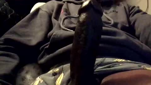 olivertwist1273 online show from February 9, 12:37 am