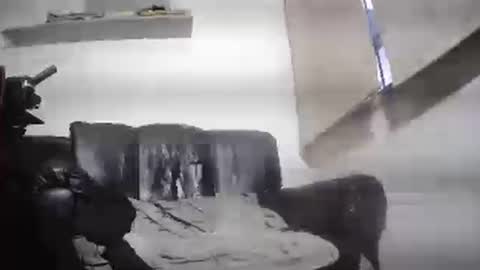 Giorgeo  Armani online show from February 26, 11:02 pm