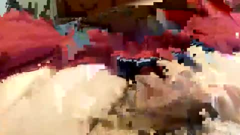 Super Soaker Oreo World online show from December 30, 7:21 pm