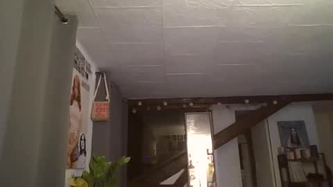 Flix online show from December 5, 12:51 am