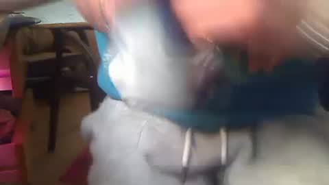 pajacamxxxs online show from February 5, 12:38 pm