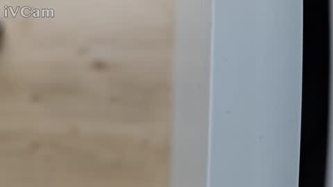 pantyhose_ggggg online show from October 11, 2:43 pm