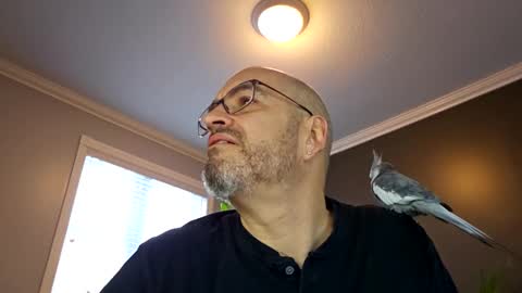 Snapshot of papi1979 chatting on January 14, 1:06 pm Papi online show from January 14, 1:06 pm