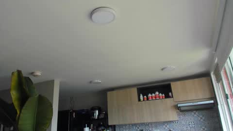 Paul online show from February 7, 5:51 pm