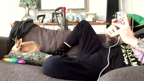Snapshot of paulyb445 chatting on October 2, 2:10 pm paulyb445 online show from October 2, 2:10 pm