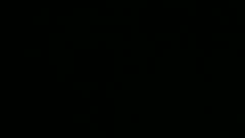 peptraderbcn online show from October 1, 5:00 am