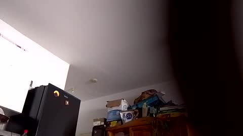 perseponi online show from November 23, 12:05 pm