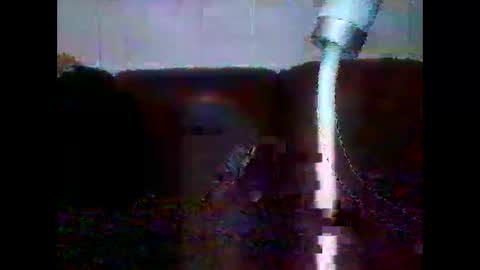 gogo online show from November 29, 11:56 am