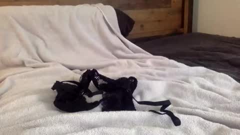 Its always better when its forbidden online show from February 13, 4:56 pm