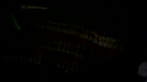 pleaseownme2 online show from September 13, 1:12 pm