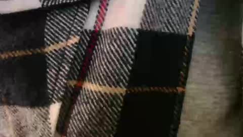 pllkgh45ymn online show from December 20, 5:31 pm