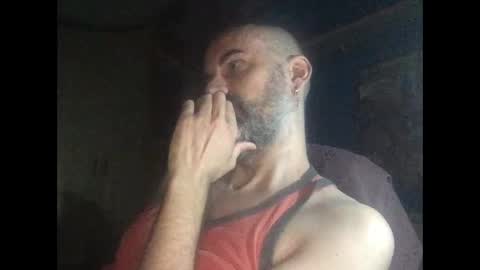 Snapshot of pollito1985 chatting on September 13, 12:39 pm DIEGO O DIEGUITO online show from September 13, 12:39 pm