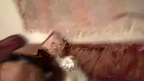 popfizzt online show from November 30, 6:59 am