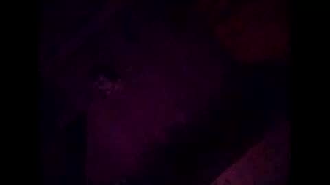 Potro770723 online show from October 5, 8:40 am