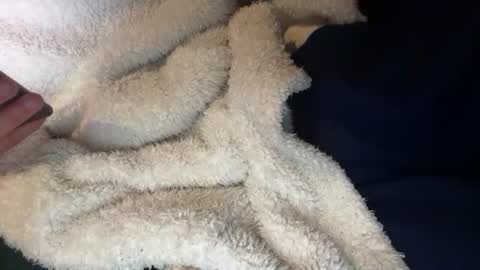 Prelako online show from October 26, 11:45 am