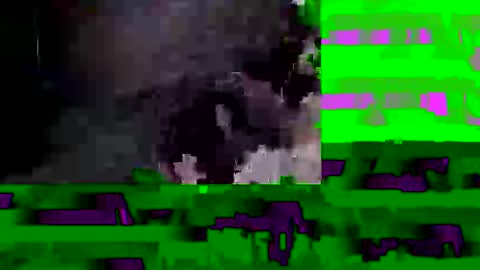 protopopot1 online show from November 30, 7:54 am