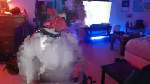 Pup Shai online show from February 17, 1:04 am