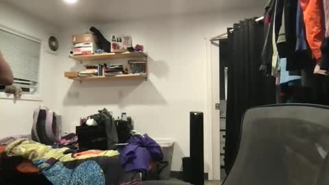 Purple online show from March 12, 7:49 am