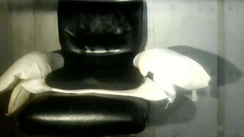 ragusalsas online show from July 1, 10:27 am