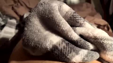 FreeC2C online show from September 27, 7:17 am