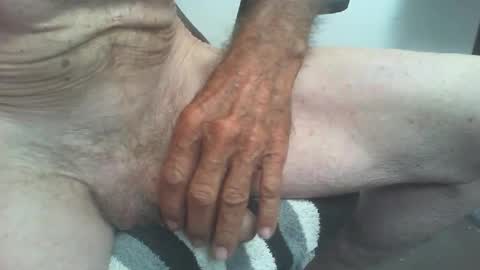 rattcatt online show from November 8, 11:13 am