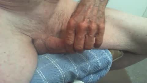 rattcatt online show from January 16, 10:29 am