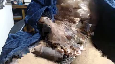 Ray online show from January 3, 12:30 pm