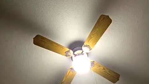 red24devils online show from March 5, 2:19 am