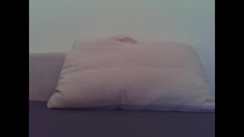 Snapshot of redfur_tigrrluvr chatting on January 22, 1:10 am redfur_tigrrluvr online show from January 22, 1:10 am