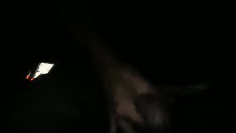 redimuss65 online show from December 6, 9:32 am