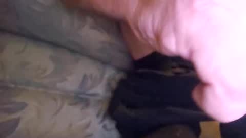 redrodridding online show from October 20, 5:17 pm