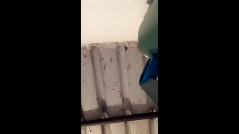 reinft online show from March 1, 10:04 am