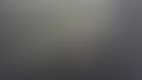 Florida Guy online show from November 26, 3:48 pm