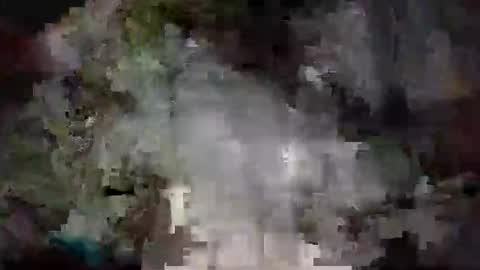 Snapshot of richard11268869 chatting on December 24, 10:06 pm richard11268869 online show from December 24, 10:06 pm
