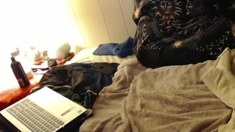 Snapshot of rickrbg123 chatting on February 13, 4:22 am rickrbg123 online show from February 13, 4:22 am