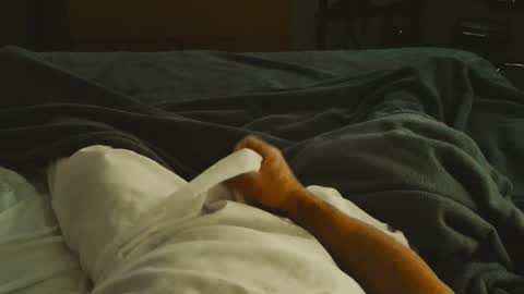 riggie online show from February 14, 9:21 pm