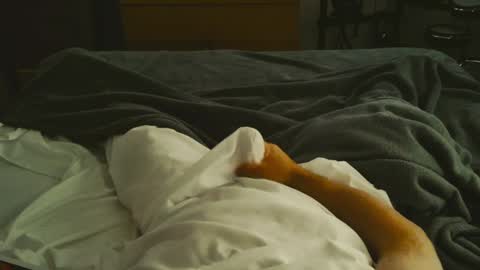 riggie online show from January 3, 3:44 pm