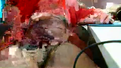 Rocco  aka DaddyRoc online show from March 1, 1:11 pm