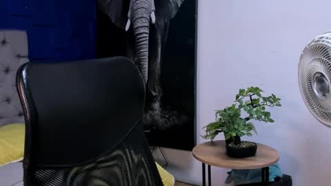 rocco_santos online show from October 23, 1:42 am