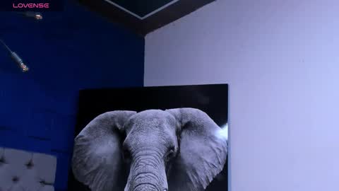 rocco_santos online show from October 10, 3:11 am