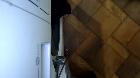 Snapshot of romahka999 chatting on October 25, 3:08 am Roma online show from October 25, 3:08 am