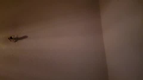 roshi702 online show from December 1, 7:55 am