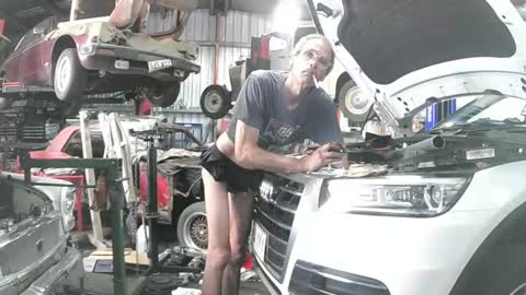rover_ online show from February 7, 10:09 pm