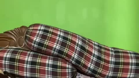 rsex2007 online show from January 10, 11:43 am