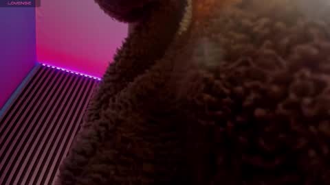 RYAN online show from October 12, 11:21 pm