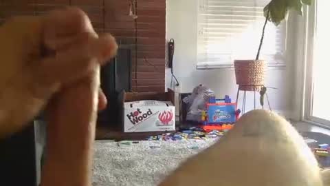 ryanbobby88 online show from October 22, 10:13 pm