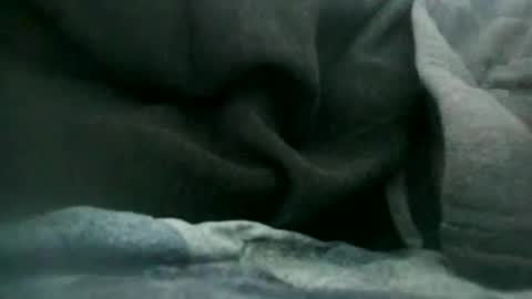 arte online show from September 17, 11:44 am