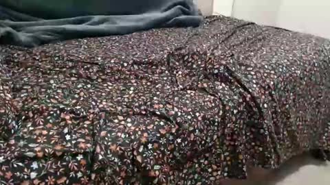 Snapshot of sactosteve chatting on December 15, 8:04 pm dadbod online show from December 15, 8:04 pm