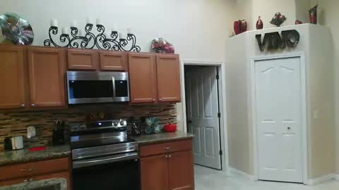 sam_papithebarber online show from October 12, 5:34 am